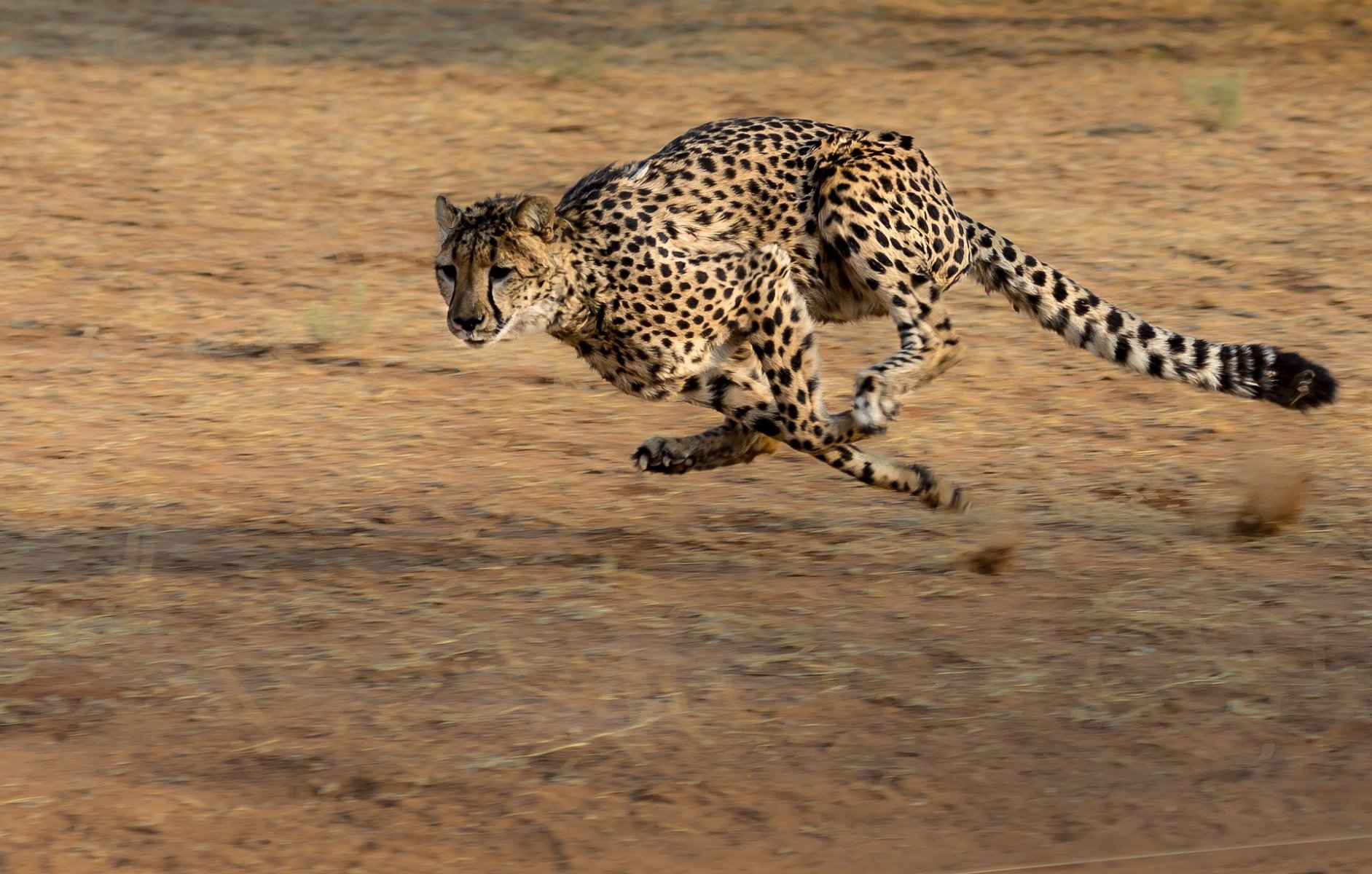Voyage pour randonneurs et amateurs de trek circuit en Afrique du Sud